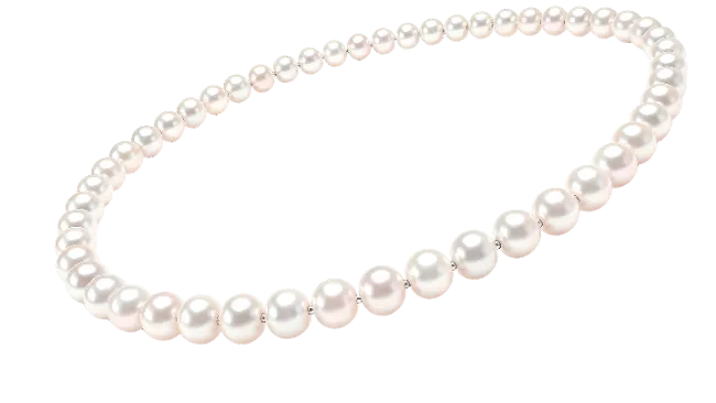 Elegant Pearl Necklace Isolated on White