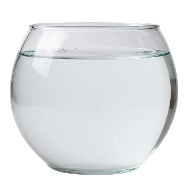 Empty Glass Fishbowl Filled With Water