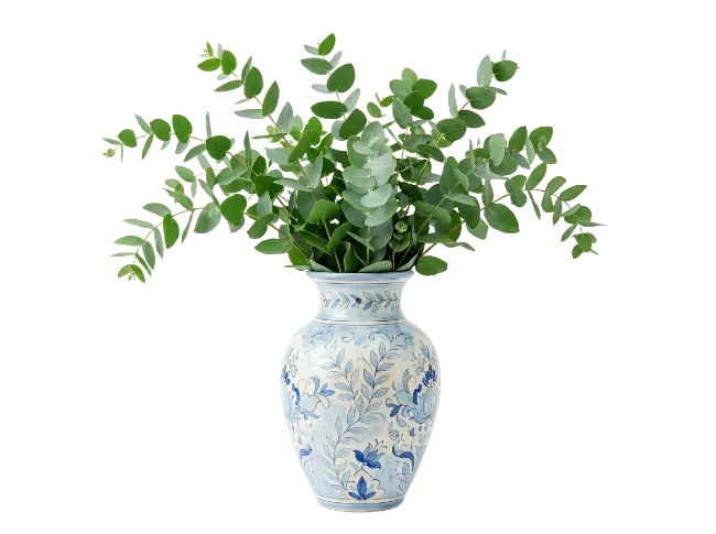 Eucalyptus Branches in Decorated Ceramic Vase