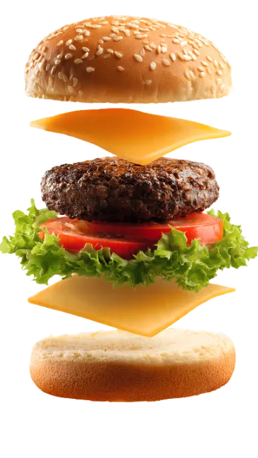 Exploded view of a delicious cheeseburger