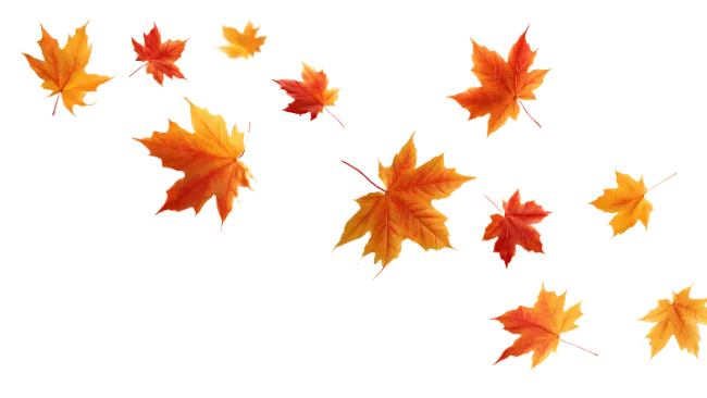 Falling Autumn Leaves Vector