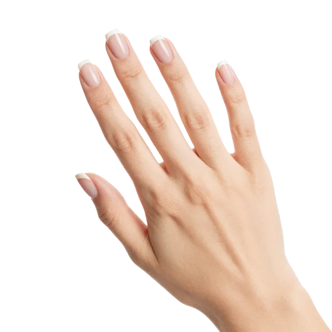 Female Hand with French Manicure Nails