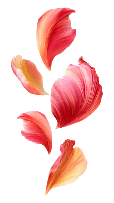 Floating Pink and Orange Flower Petals