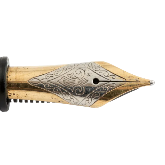 Fountain Pen Nib Close Up