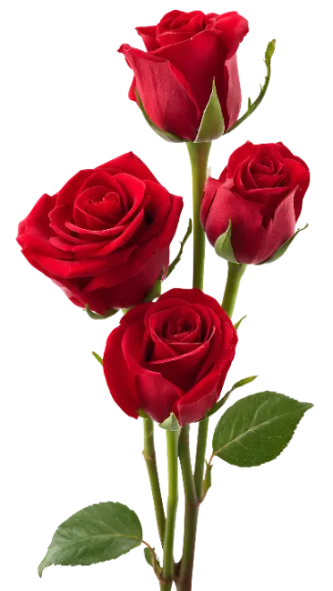 Four Red Roses Bouquet
