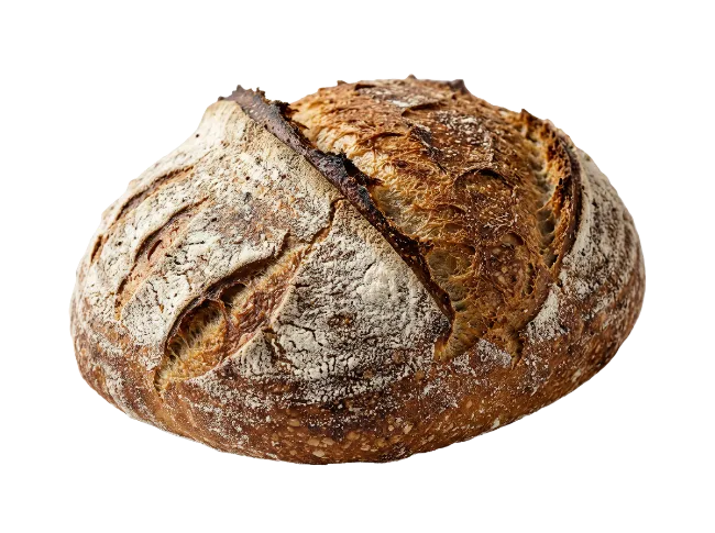 Fresh Artisan Sourdough Bread Loaf