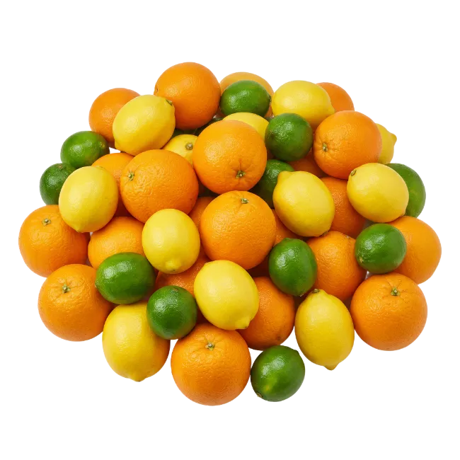 Fresh Assorted Citrus Fruits Pile