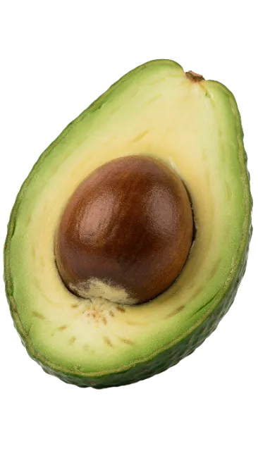 Fresh Avocado Half with Seed