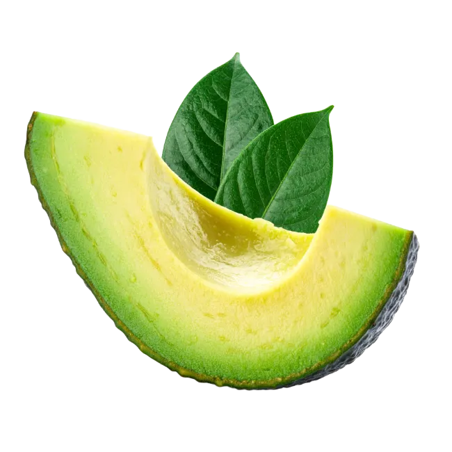 Fresh Avocado Slice with Leaves