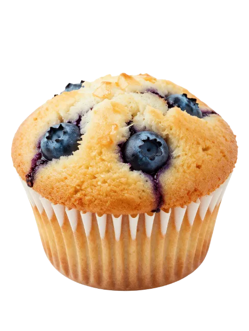 Fresh Baked Blueberry Muffin