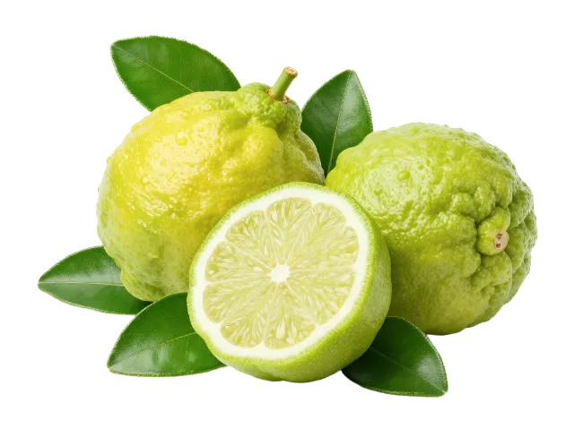 Fresh Bergamot Citrus Fruits with Leaves