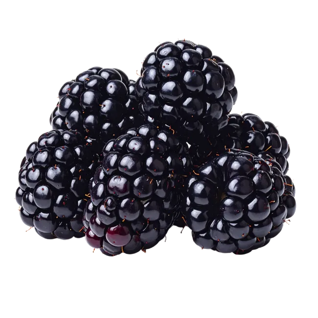 Fresh Blackberries Fruit Cluster