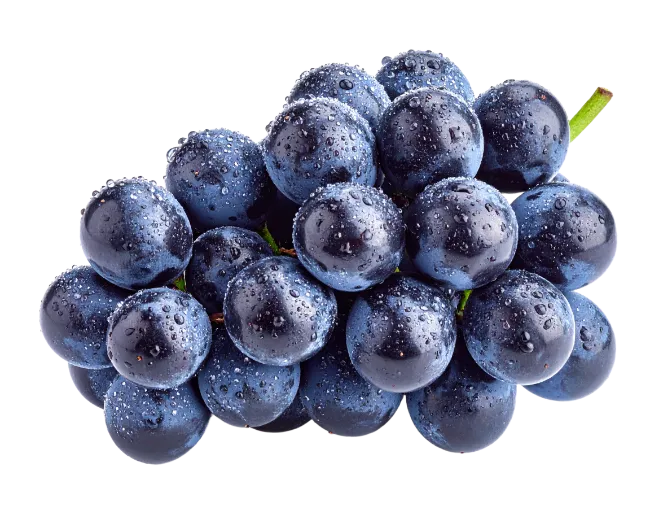 Fresh Blue Grapes