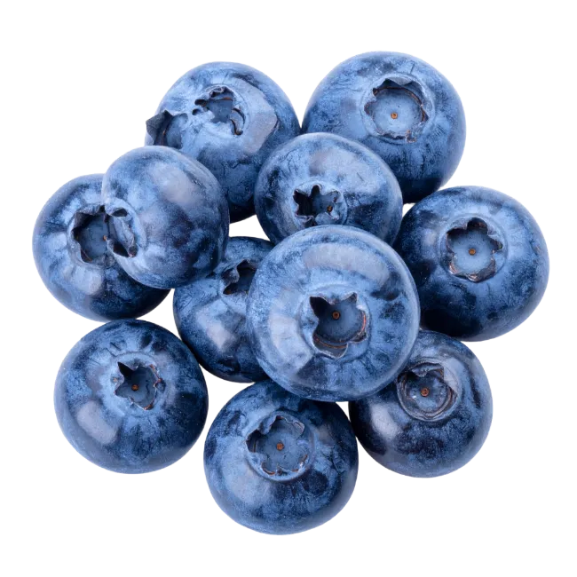 Fresh Blueberries Cluster