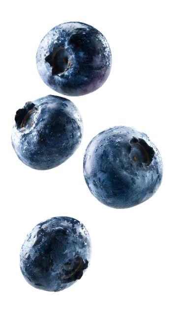 Fresh Blueberries Falling with Water Droplets