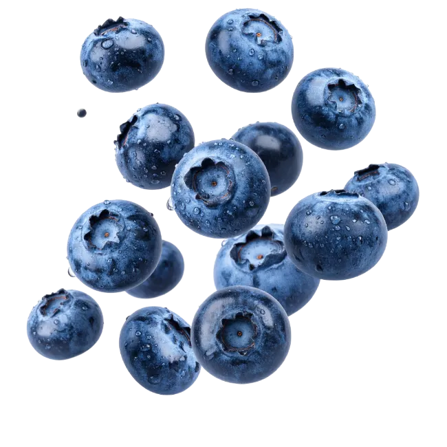 Fresh Blueberries Falling with Water Droplets