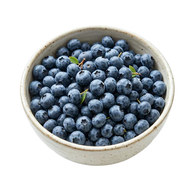 Fresh Blueberries in Ceramic Bowl