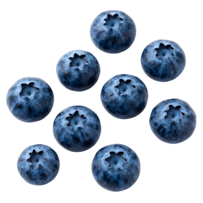 Fresh Blueberries Top View