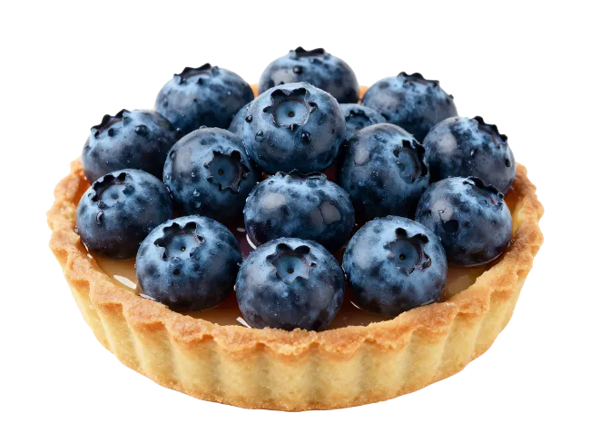 Fresh Blueberry Tart Dessert