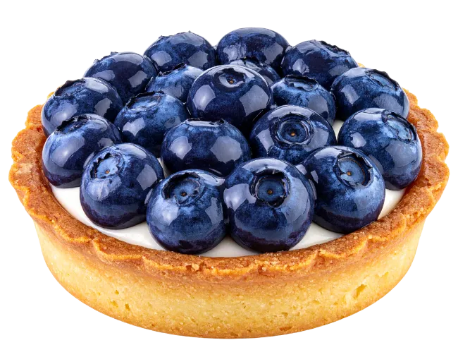 Fresh blueberry tart pastry