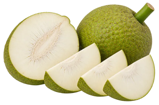 Fresh Breadfruit Whole and Slices