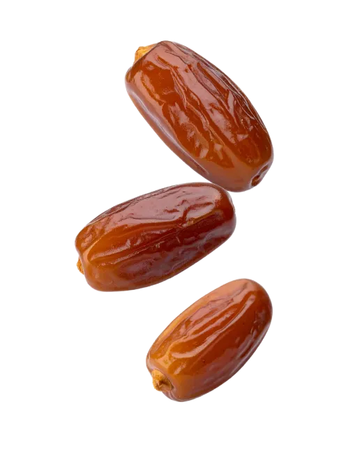 Fresh Brown Dates Fruit Isolated