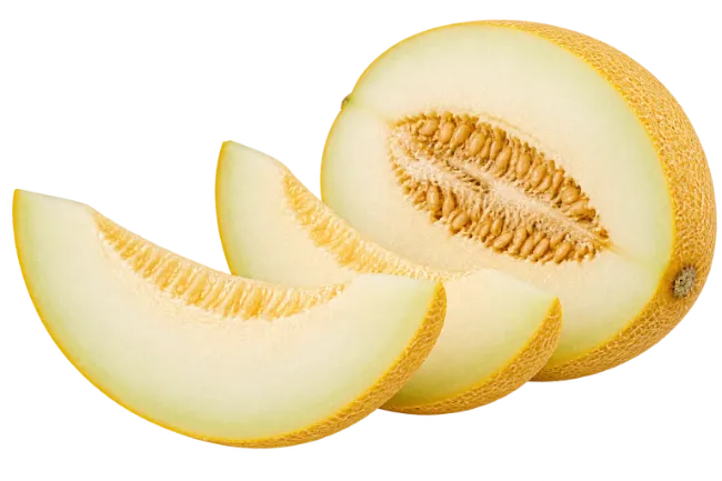 Fresh Cantaloupe Melon Slices