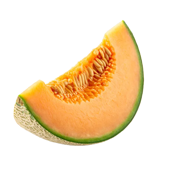 Fresh Cantaloupe Melon Wedge with Seeds