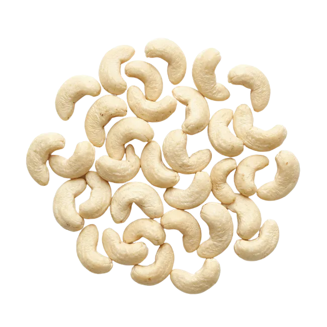Fresh Cashew Nuts Pile