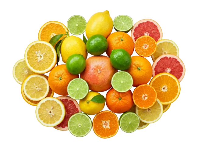 Fresh Citrus Fruit Assortment Collection