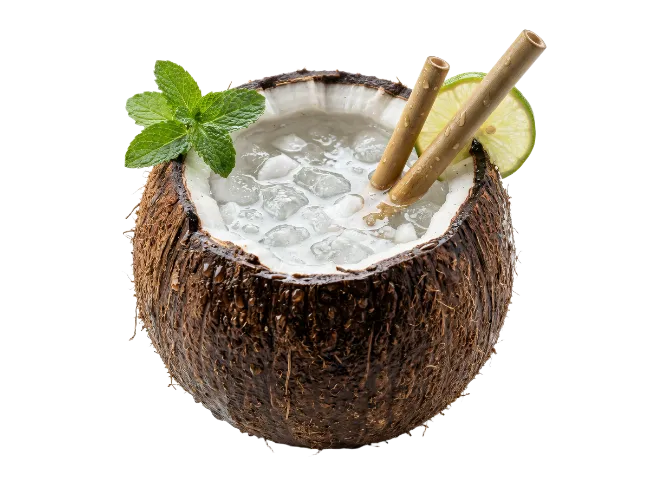 Fresh Coconut Cocktail With Ice And Mint