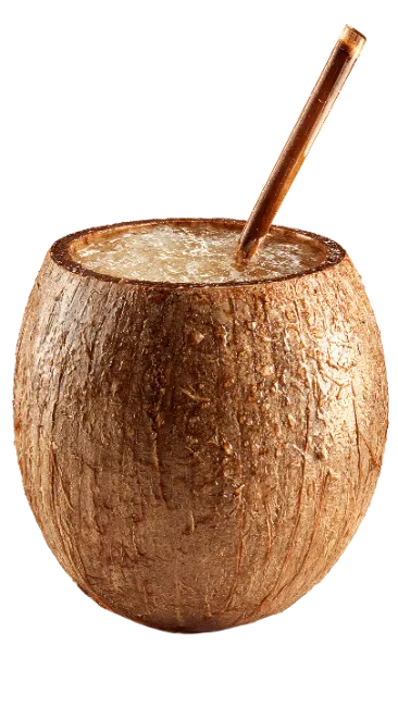 Fresh Coconut Drink with Straw