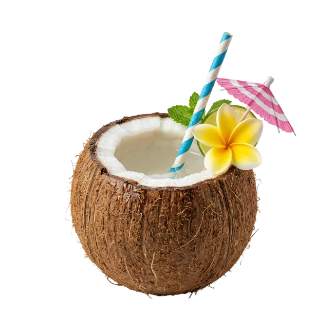 Fresh Coconut Drink with Tropical Flower