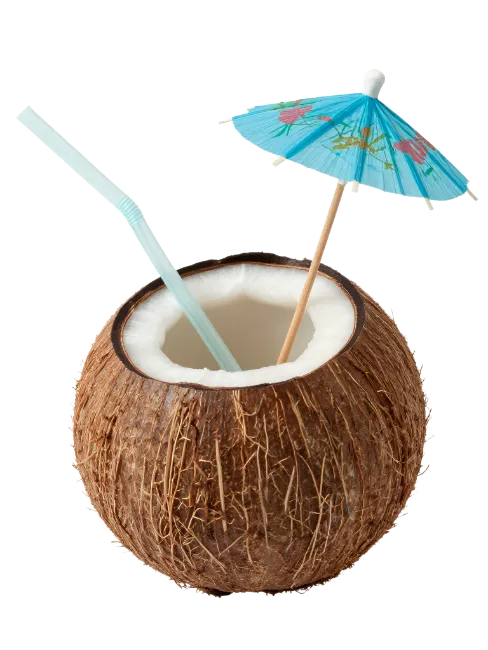 Fresh Coconut Drink with Umbrella and Straw