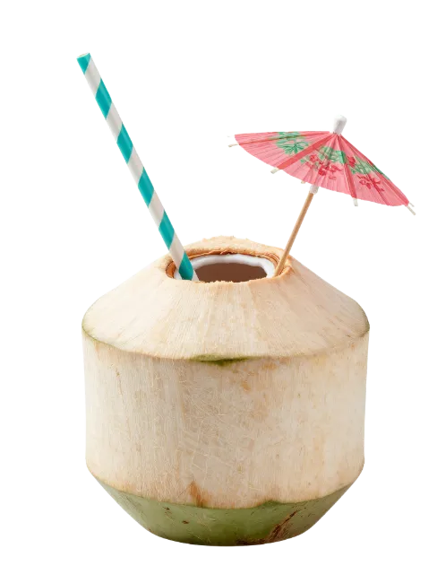 Fresh Coconut Drink with Umbrella and Straw