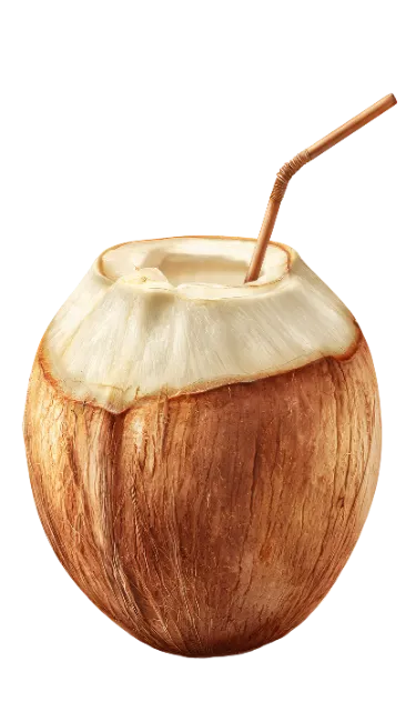 Fresh Coconut with Drinking Straw