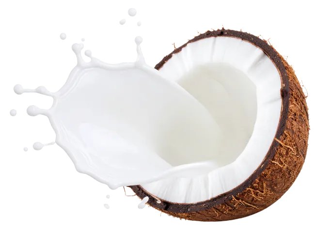 Fresh Coconut With Milk Splash