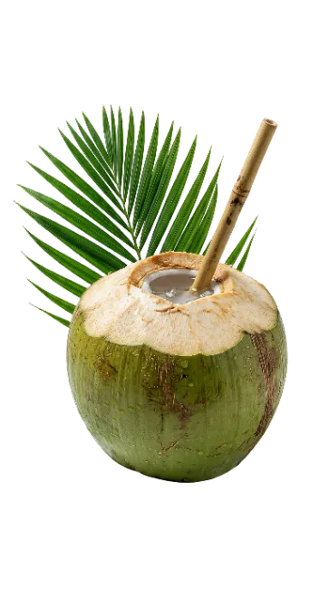 Fresh Coconut with Straw and Palm Leaf