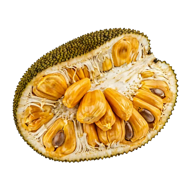 Fresh Cut Jackfruit Halves with Golden Pods