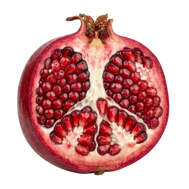 Fresh Cut Pomegranate Fruit Half