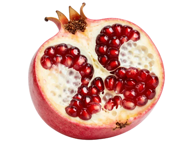 Fresh Cut Pomegranate Half with Ruby Seeds