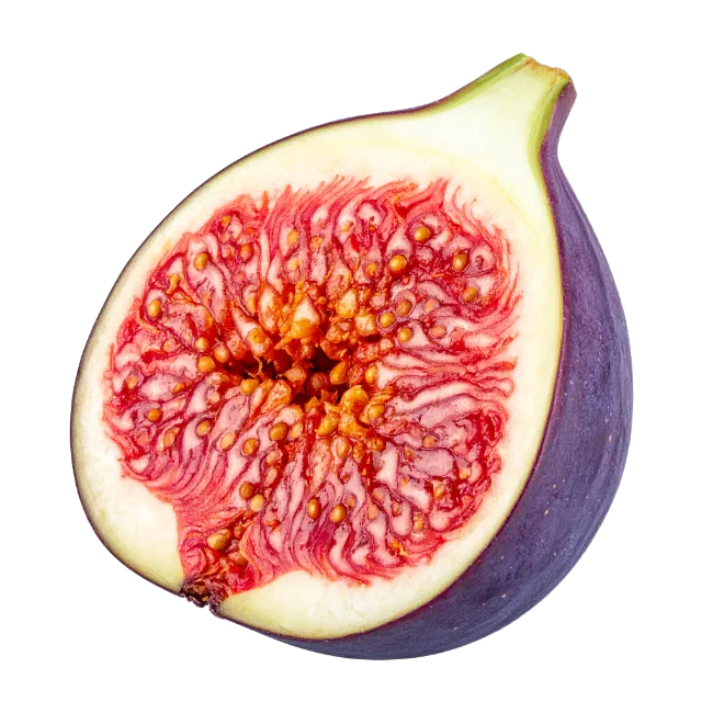 Fresh Fig Slice Isolated on White