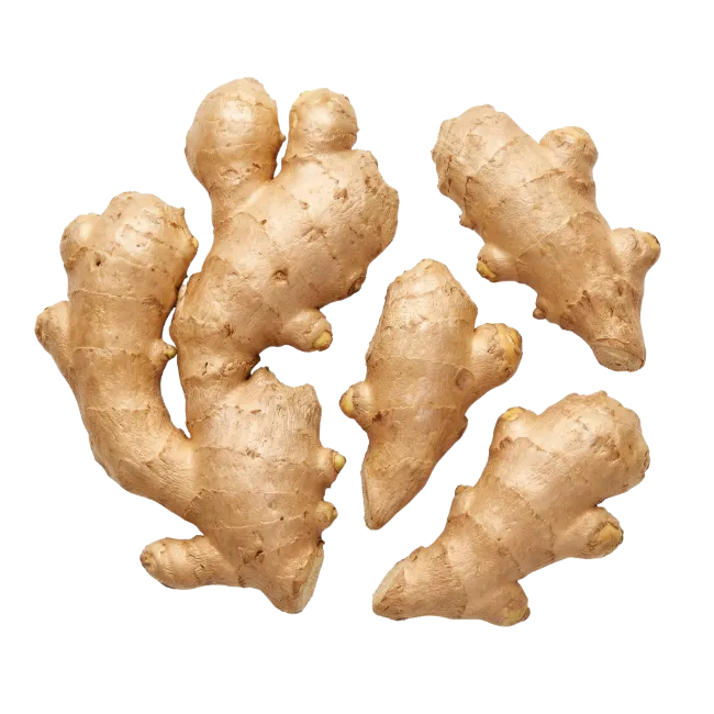 Fresh Ginger Roots Isolated on Black