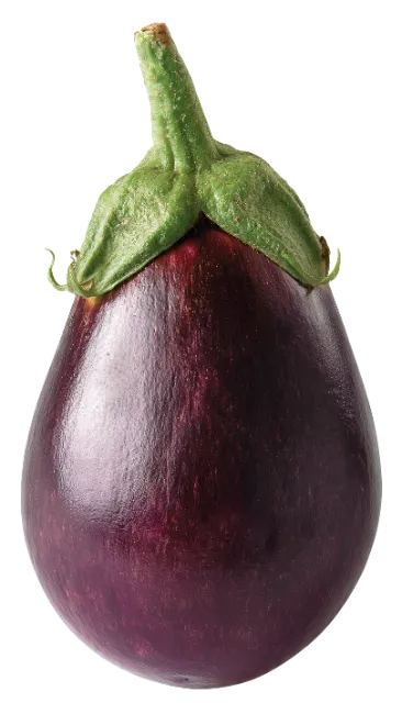Fresh Globe Eggplant