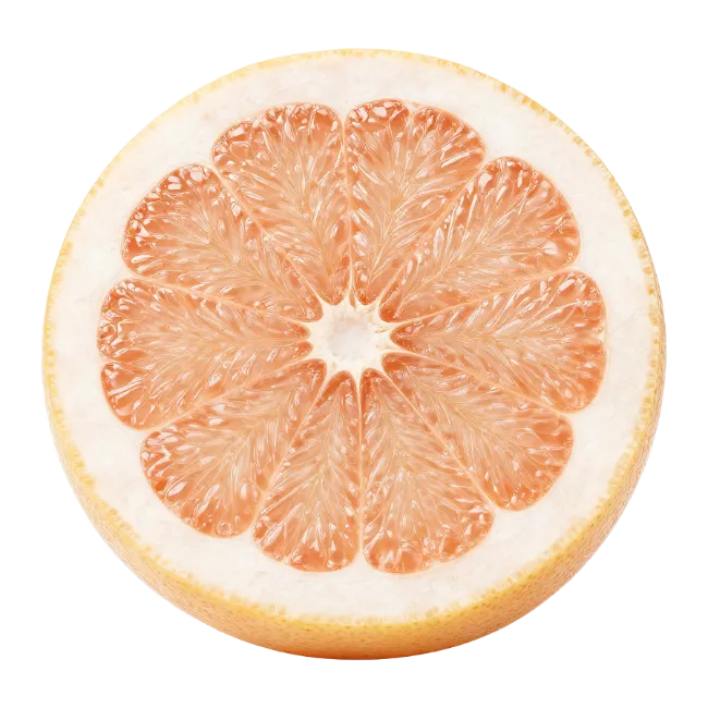 Fresh grapefruit half sliced top view