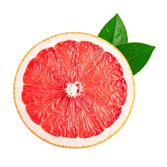 Fresh grapefruit slice with green leaves