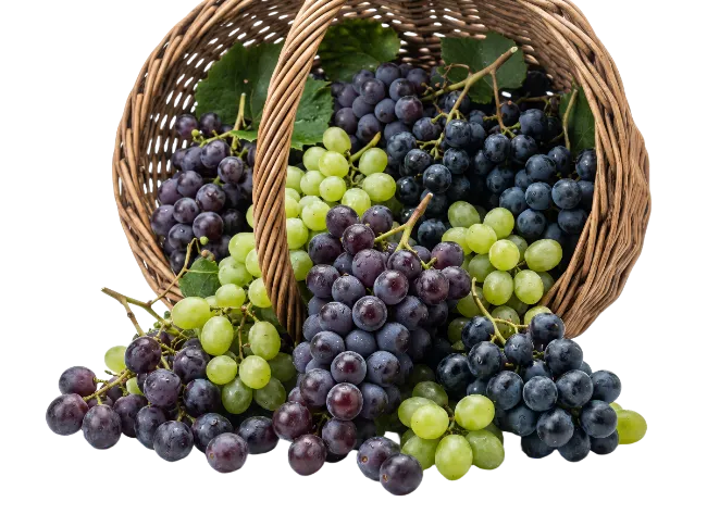 Fresh Grapes in Wicker Basket