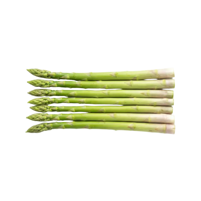 Fresh Green Asparagus Spears Aligned