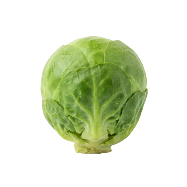 Fresh Green Brussels Sprout