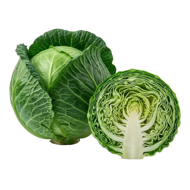 Fresh Green Cabbage Whole and Cut Half